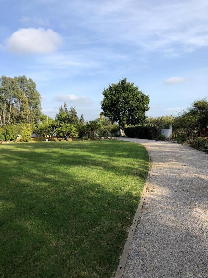 Quinta Verde Албуфейра Екстер'єр фото